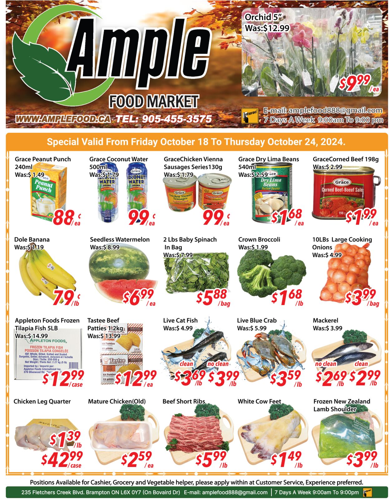 Ample Food Market Promotional flyers