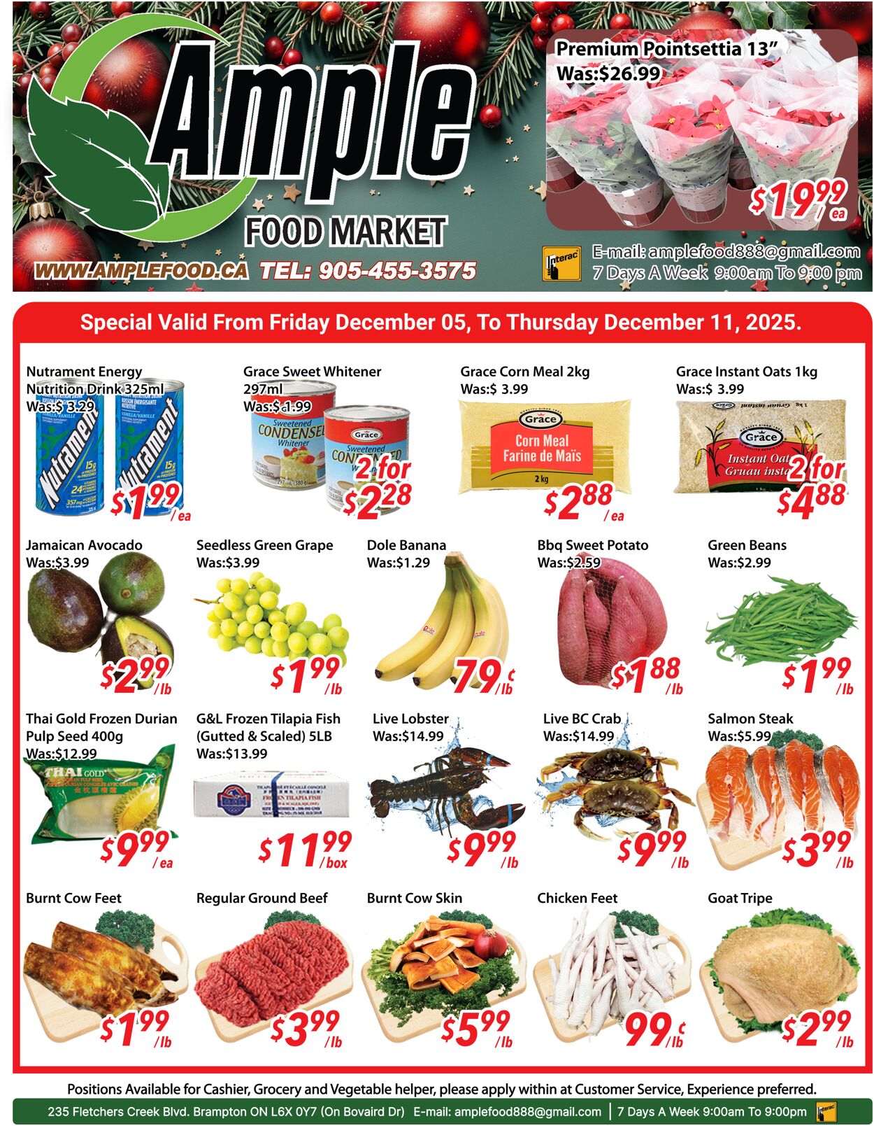 Flyer Ample Food Market 12.12.2025 - 18.12.2025