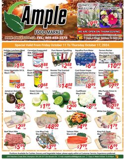 Flyer Ample Food Market 11.11.2022 - 17.11.2022