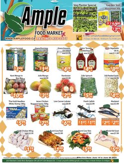 Flyer Ample Food Market 14.06.2024 - 20.06.2024
