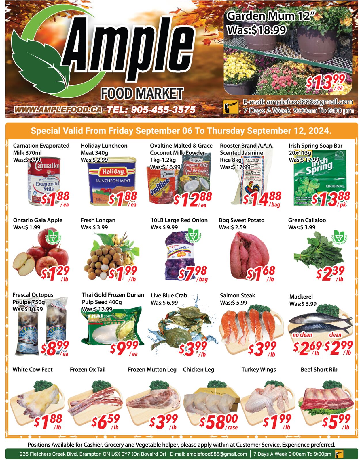 Ample Food Market Promotional flyers