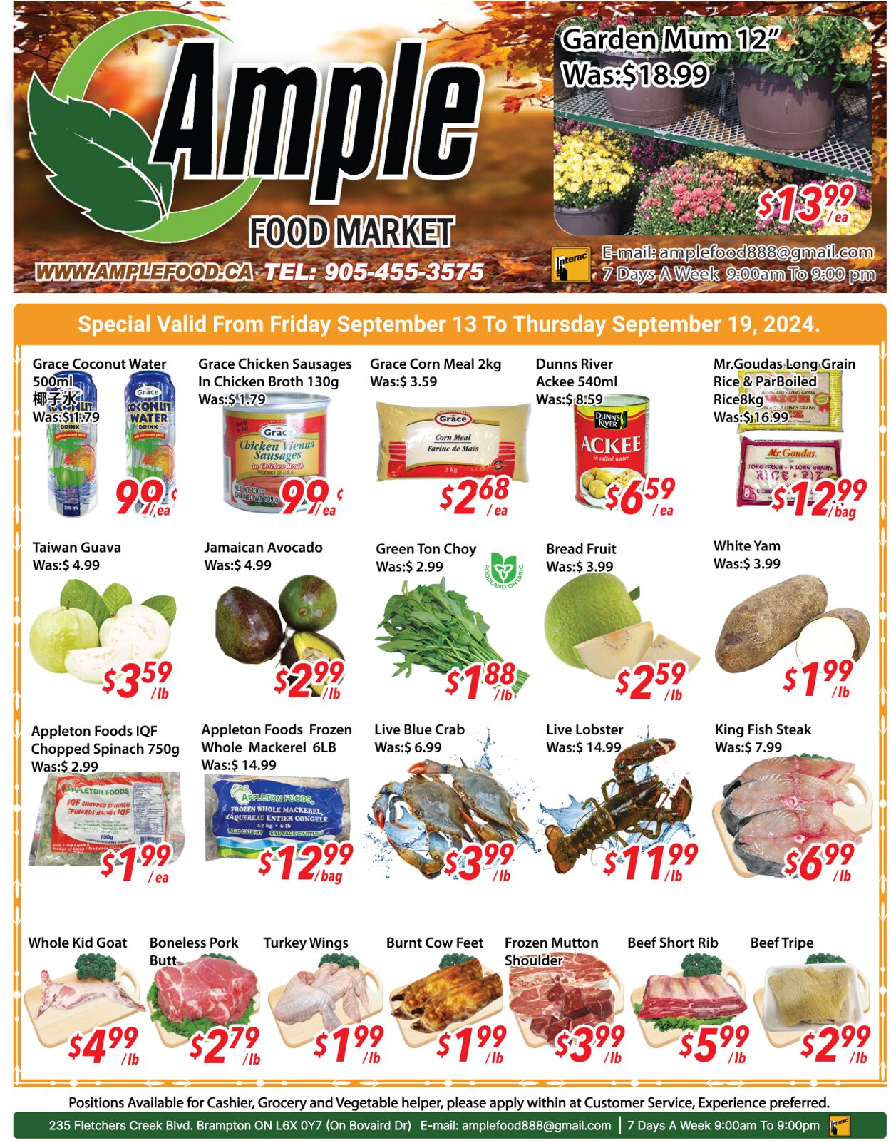 Ample Food Market Promotional flyers