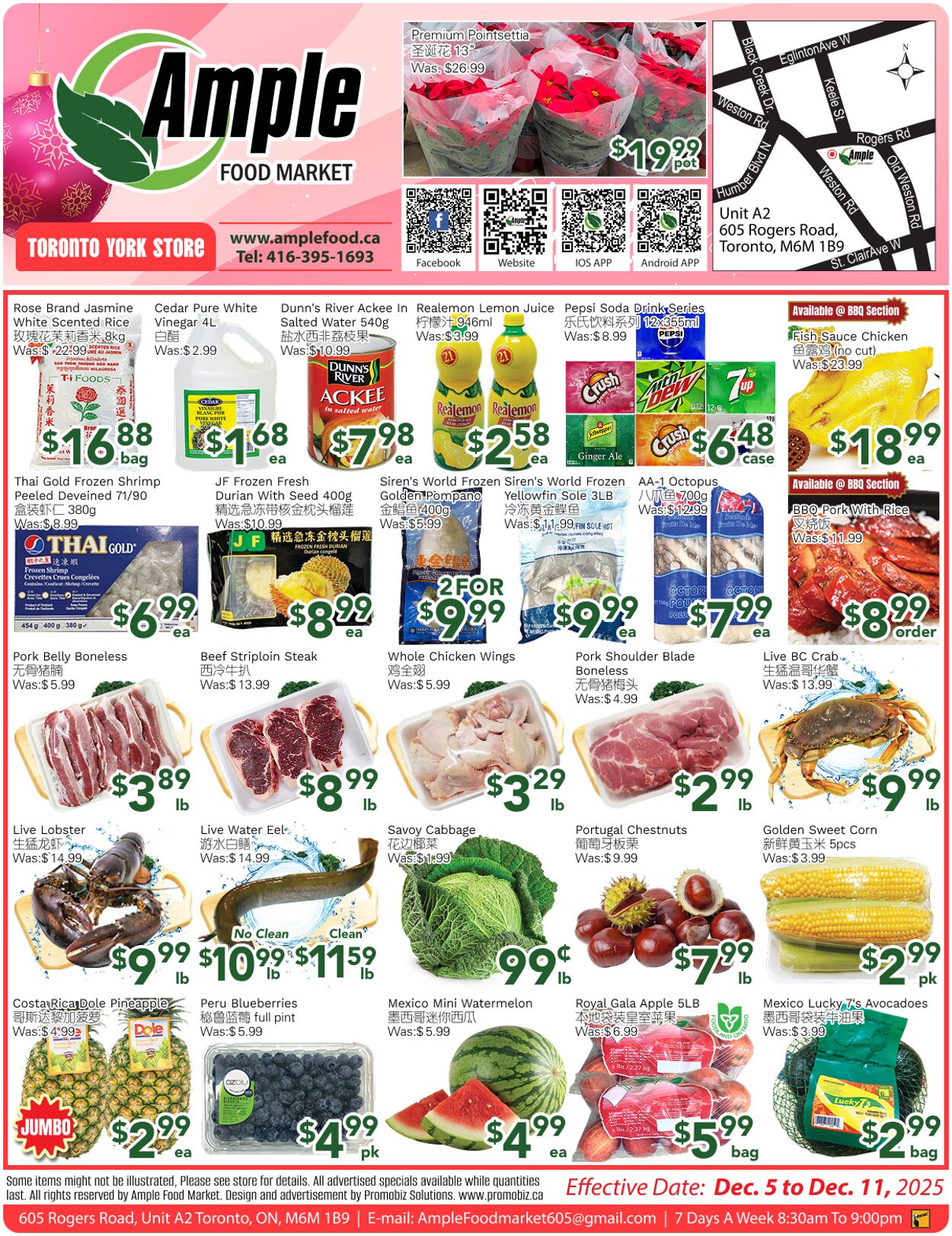Flyer Ample Food Market 12.12.2025 - 18.12.2025