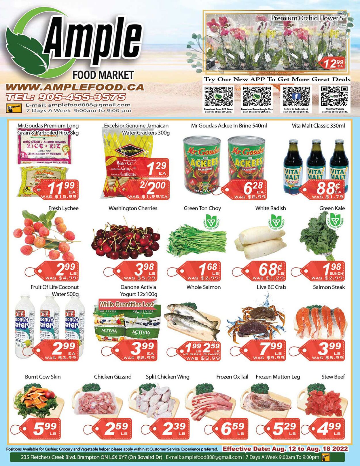 Ample Food Promotional flyers