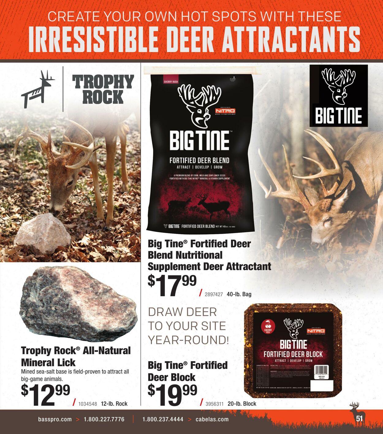 Flyer Bass Pro Shops 28.08.2025 - 28.10.2025