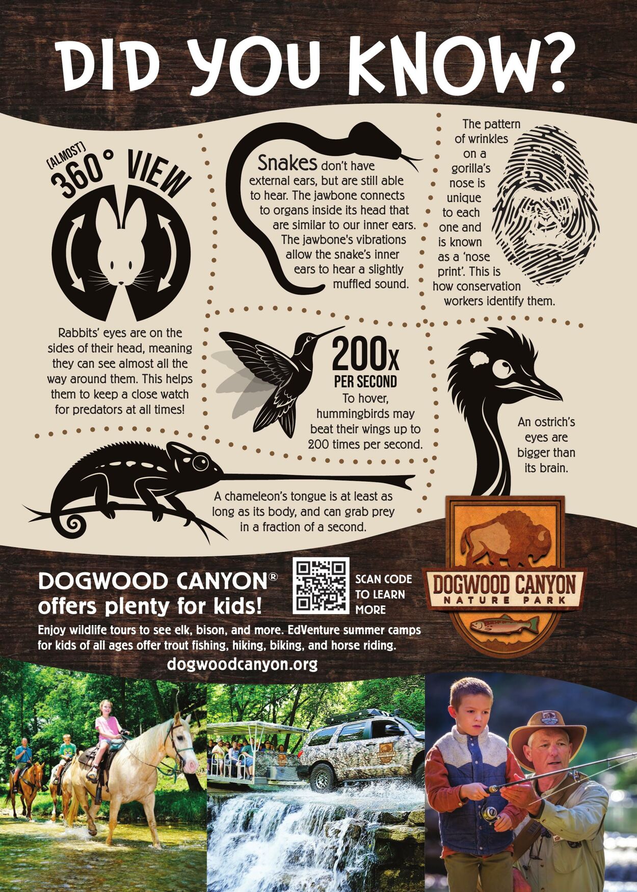 Flyer Bass Pro Shops 20.10.2025 - 20.12.2025