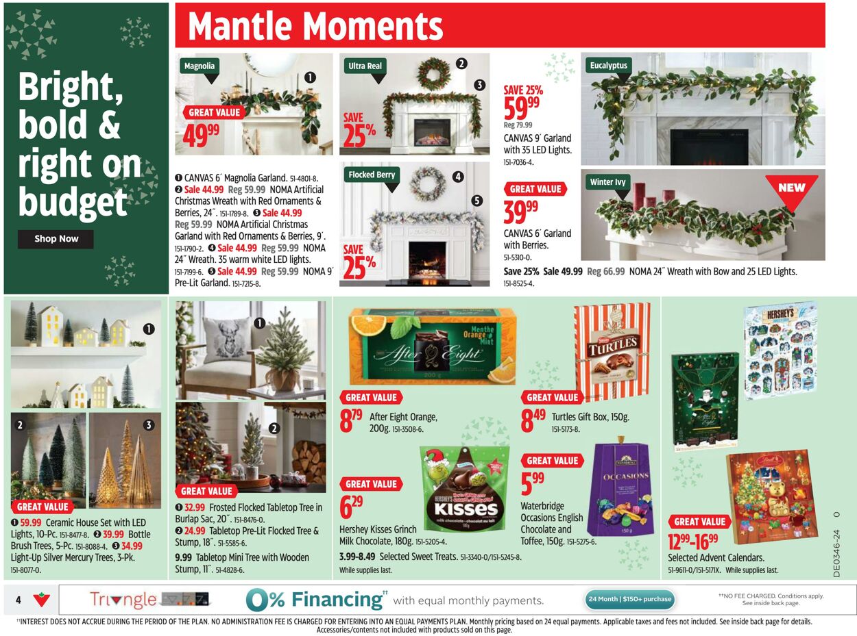 Flyer Canadian Tire 07.11.2024 - 13.11.2024