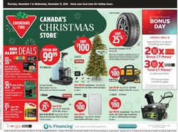 Flyer Canadian Tire 07.11.2024 - 13.11.2024