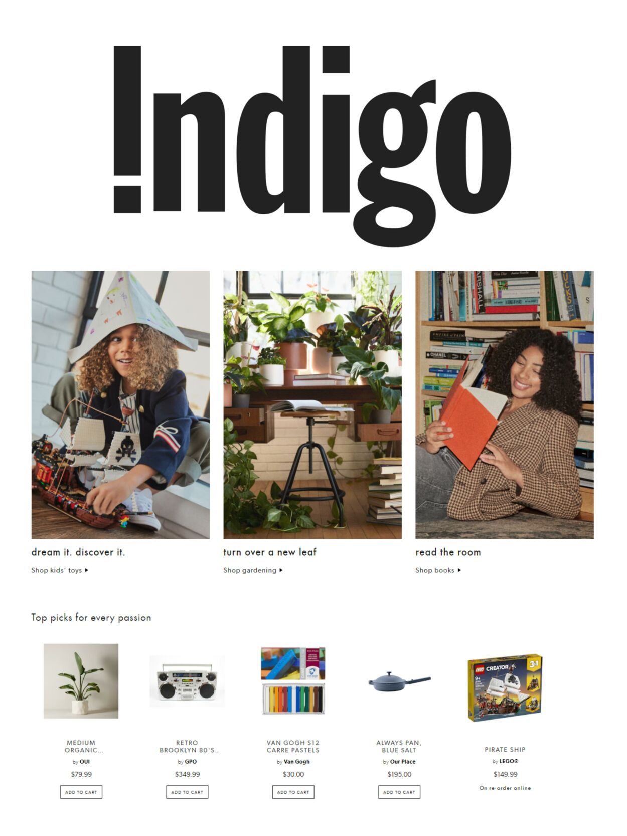 Chapters Indigo Promotional flyers