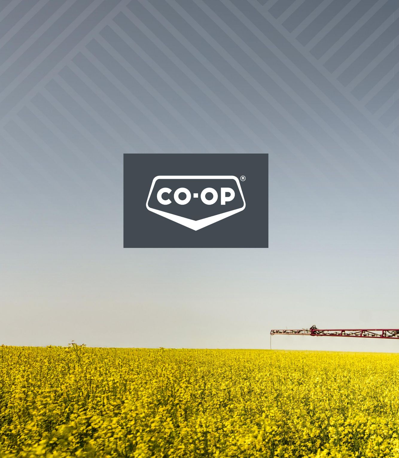 Flyer Co-op Food 25.09.2025 - 21.12.2025
