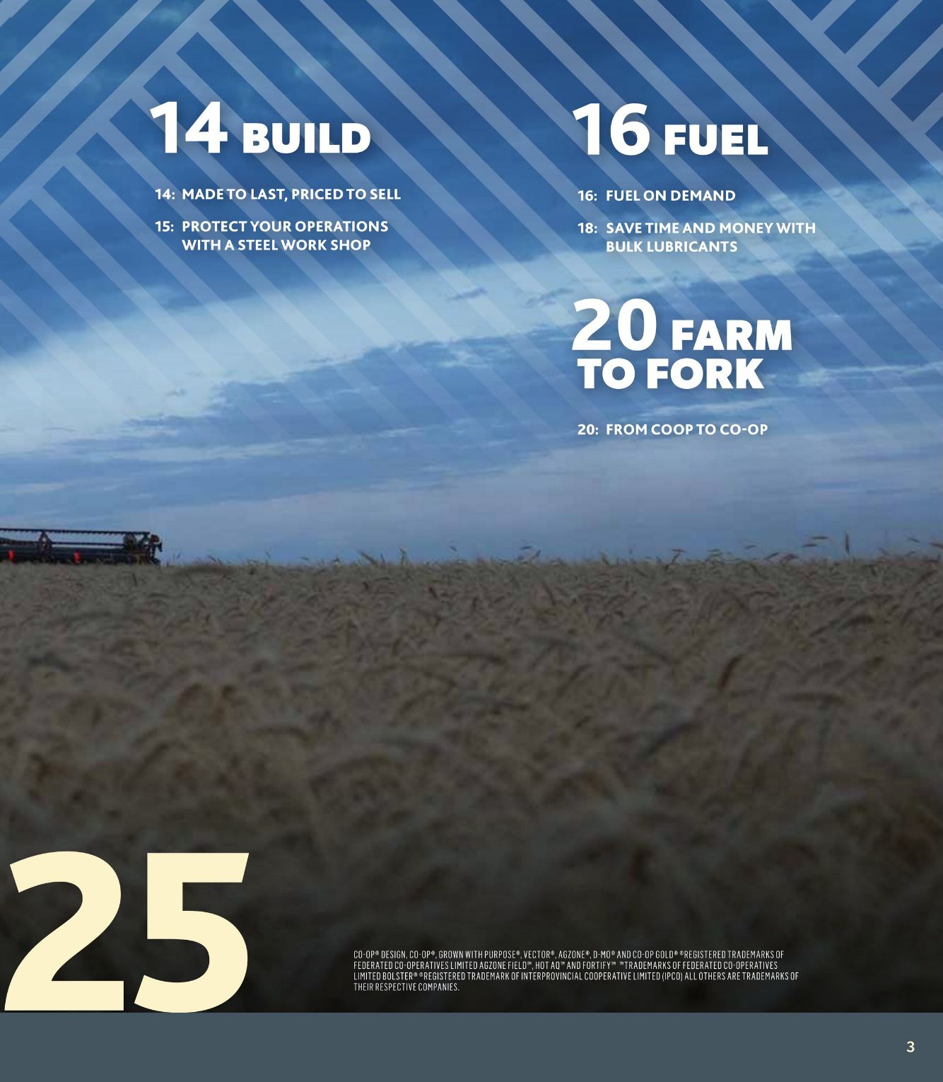 Flyer Co-op Food 17.07.2025 - 16.10.2025