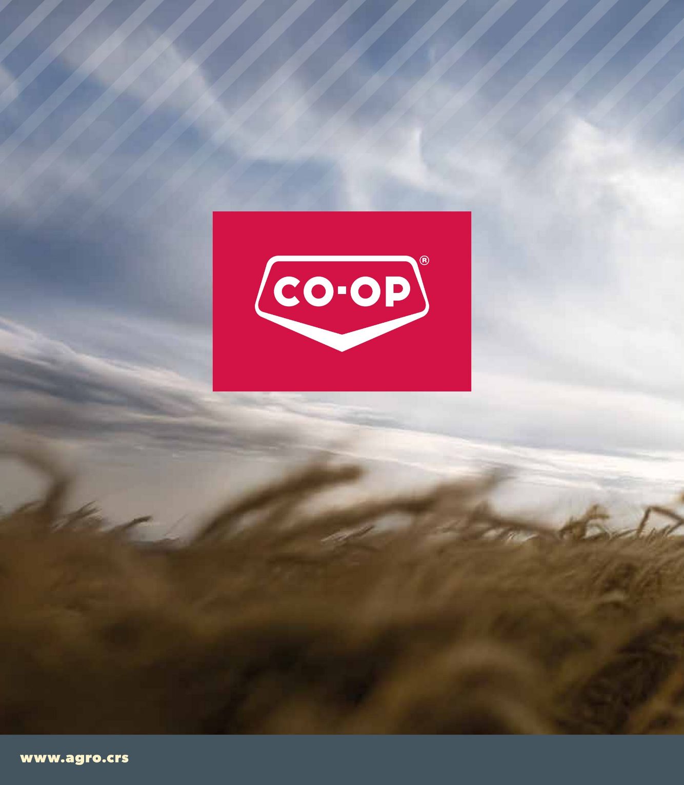Flyer Co-op Food 17.07.2025 - 16.10.2025