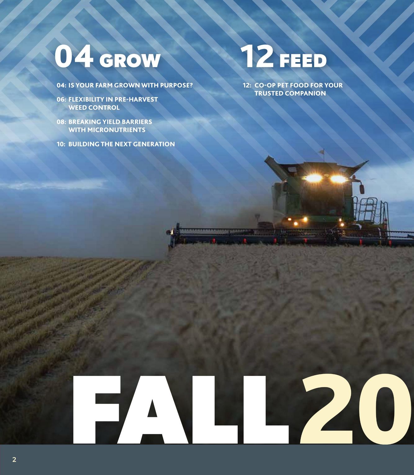 Flyer Co-op Food 17.07.2025 - 16.10.2025