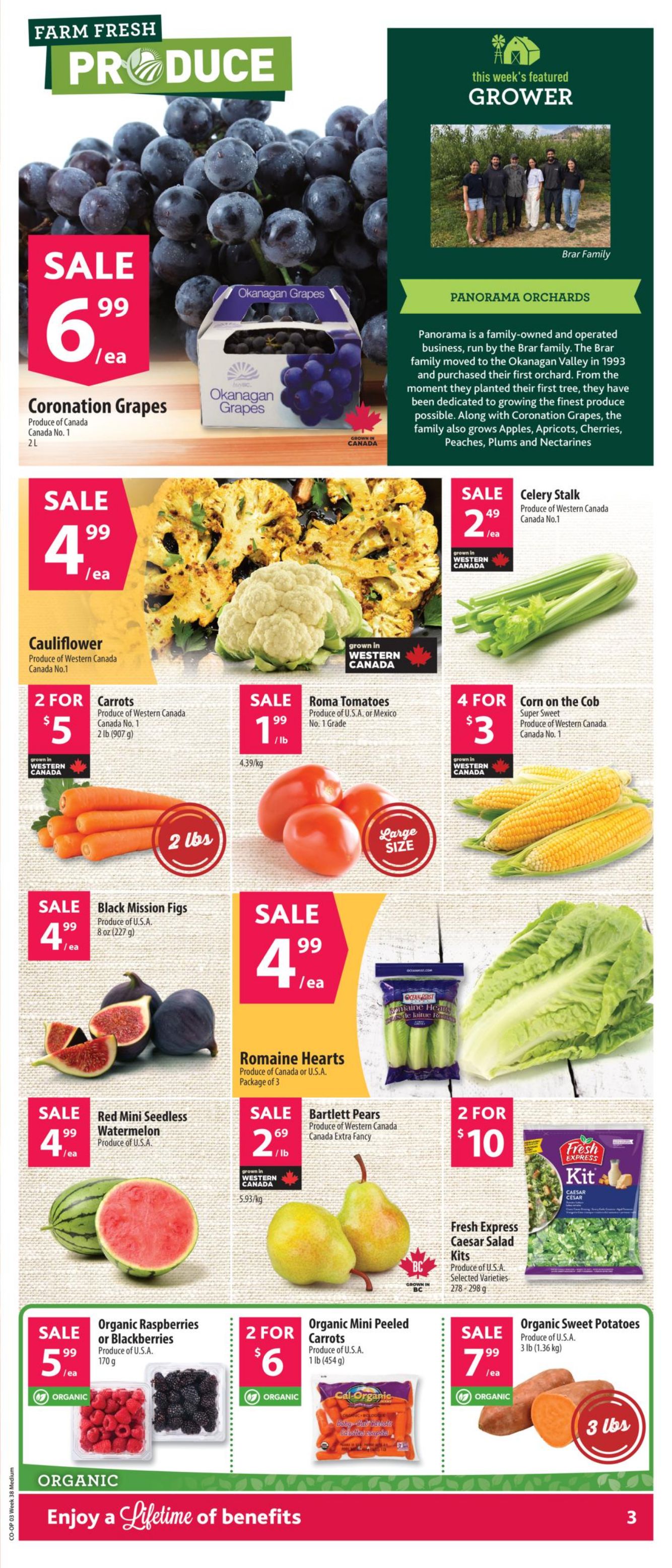 Flyer Co-op Food 11.09.2025 - 17.09.2025