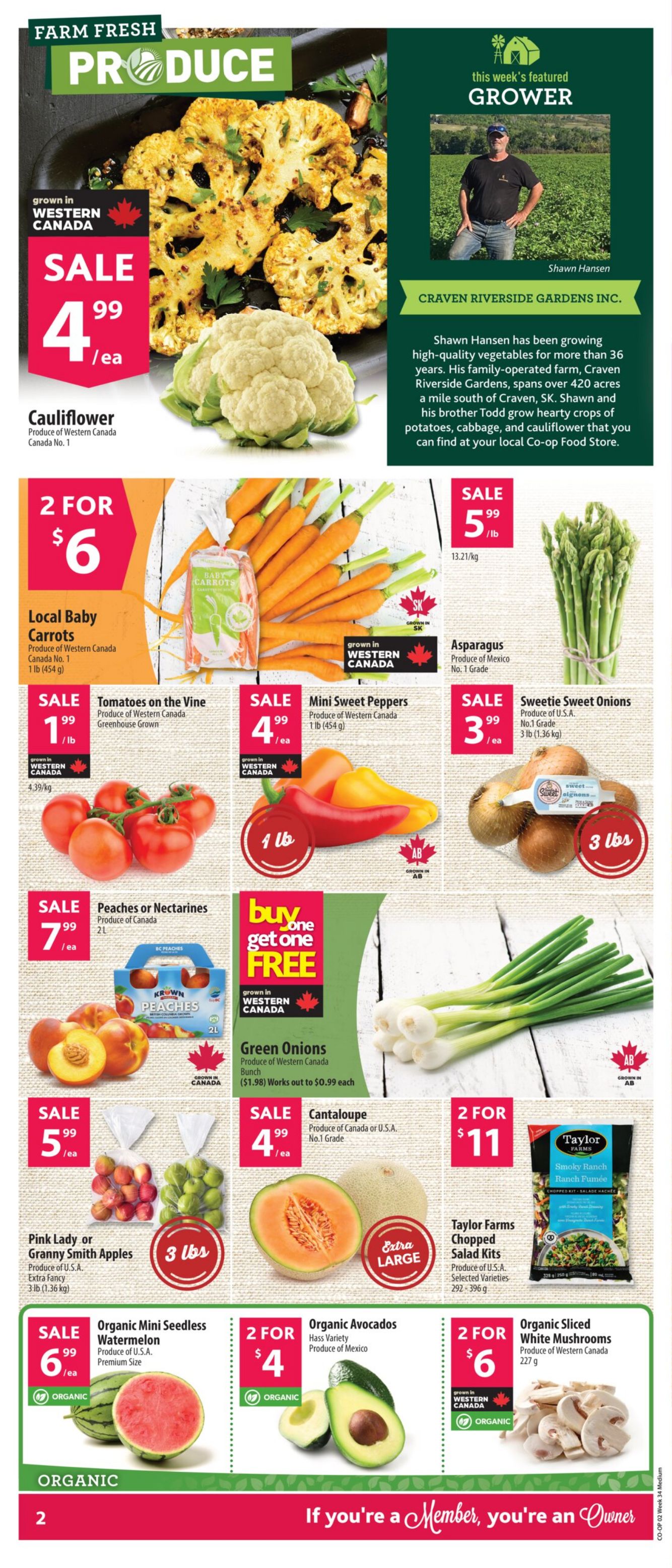 Flyer Co-op Food 14.08.2025 - 20.08.2025