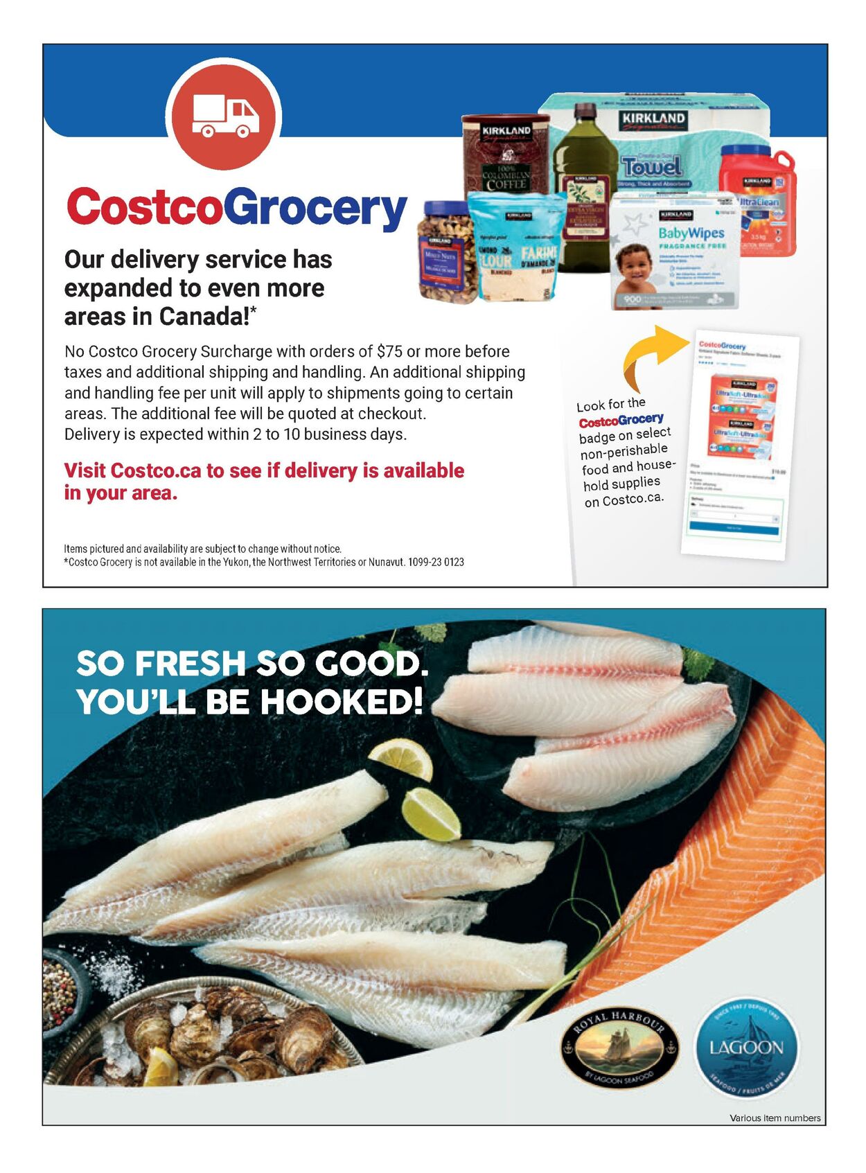 Flyer Costco 01.01.2023 - 28.02.2023