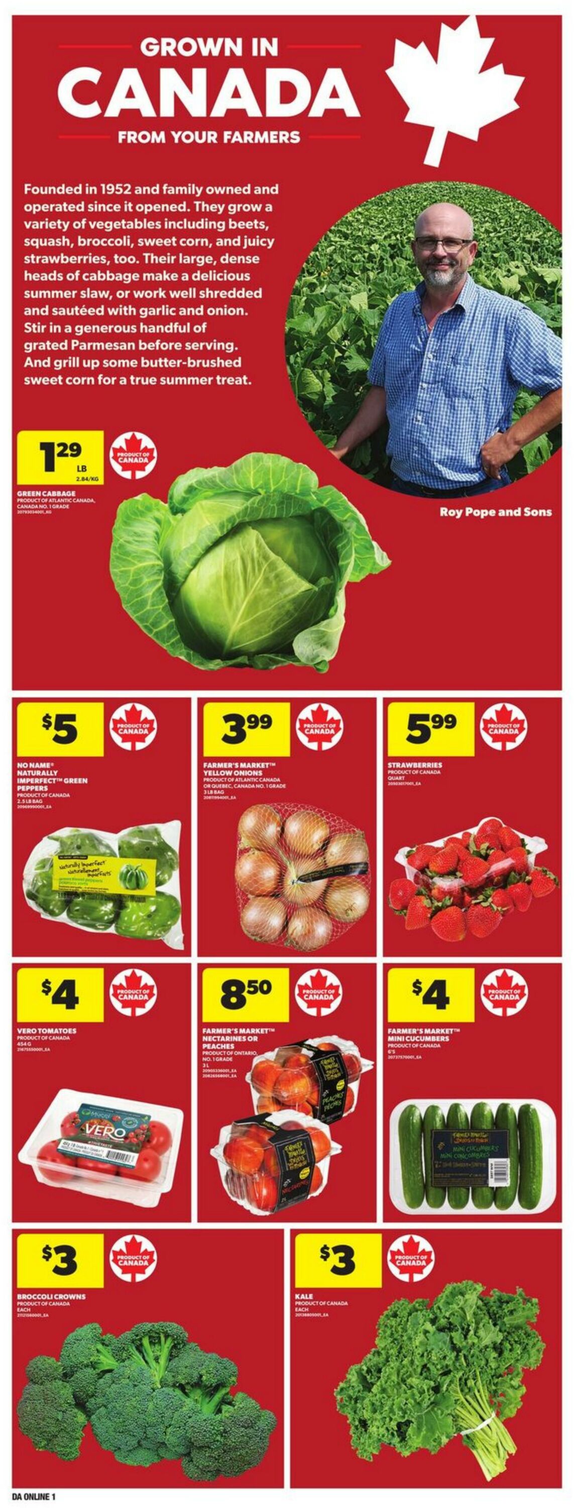 Flyer Dominion 07.08.2025 - 13.08.2025