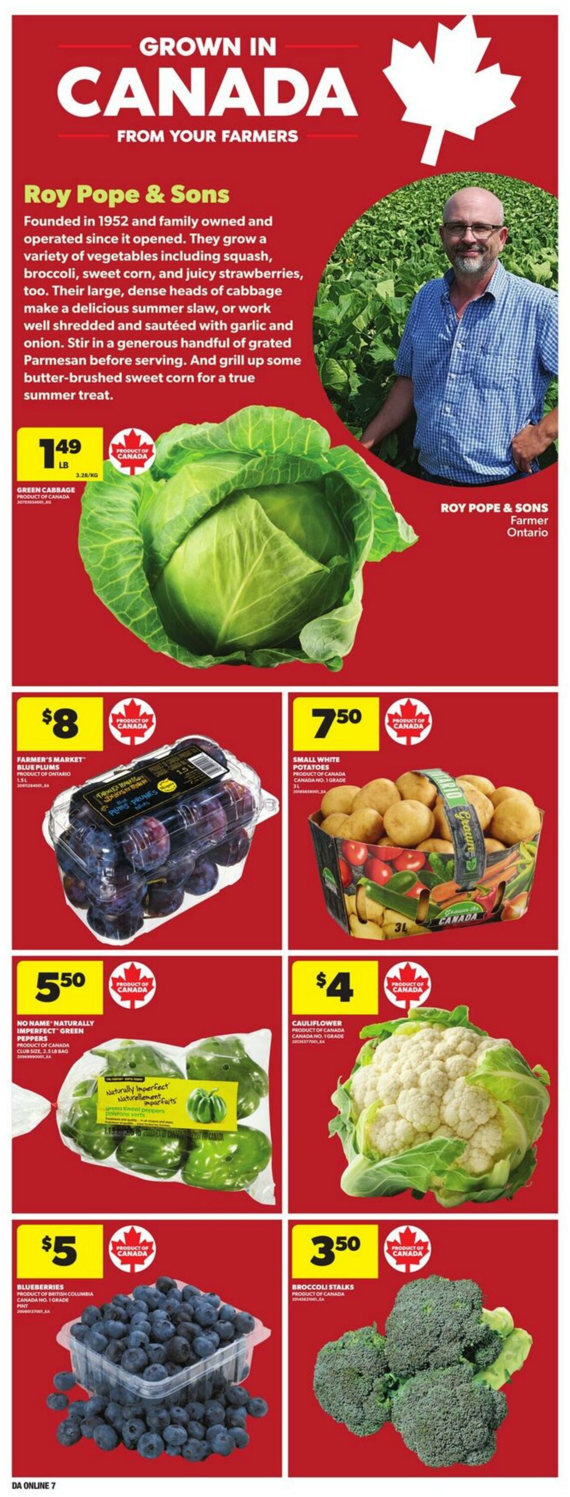 Flyer Dominion 28.08.2025 - 03.09.2025