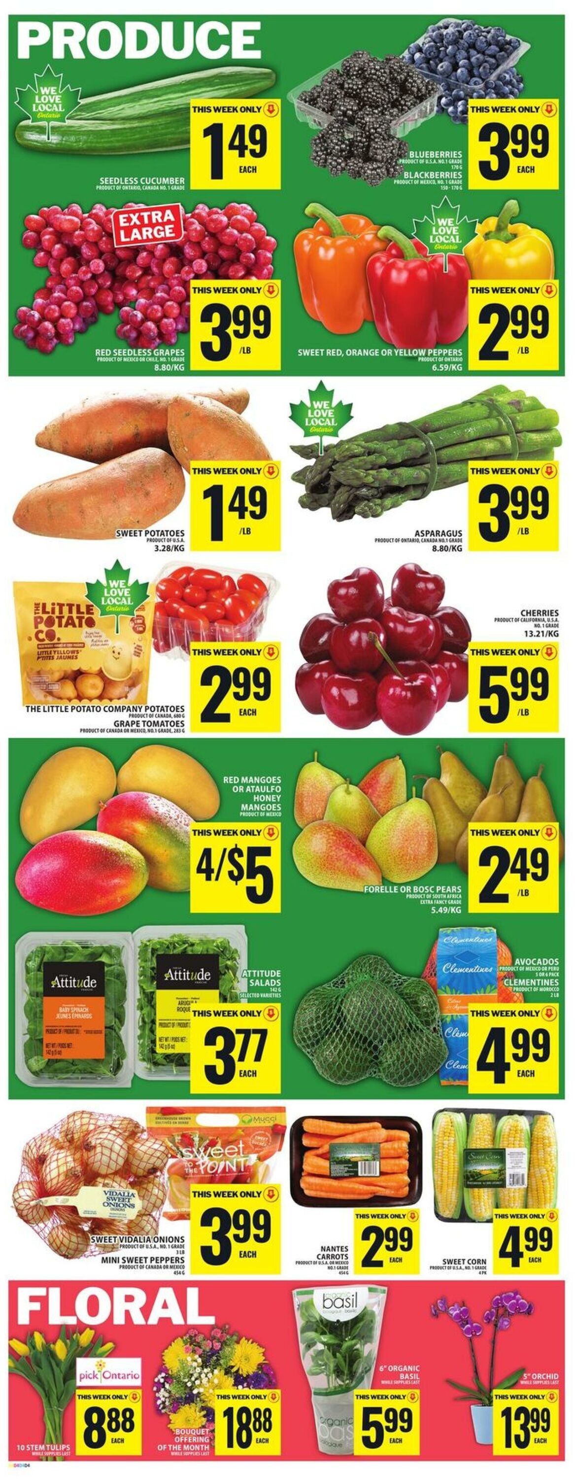 Flyer Food Basics 14.05.2026 - 20.05.2026