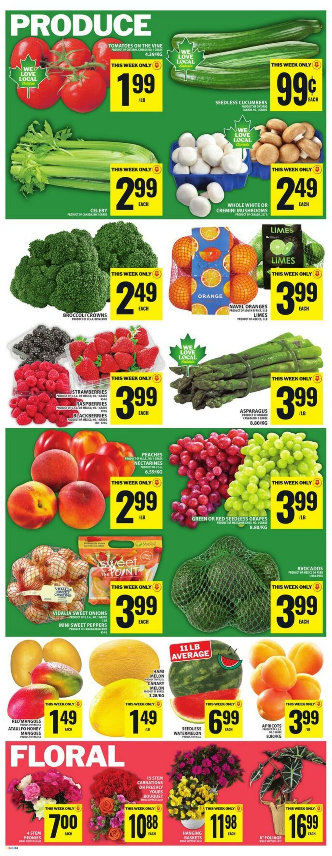 Flyer Food Basics 04.06.2026 - 10.06.2026
