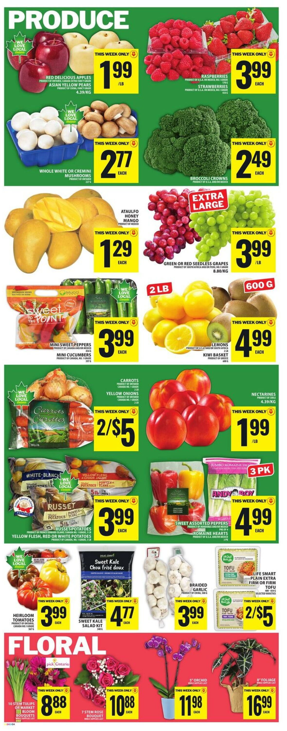 Flyer Food Basics 19.03.2026 - 25.03.2026