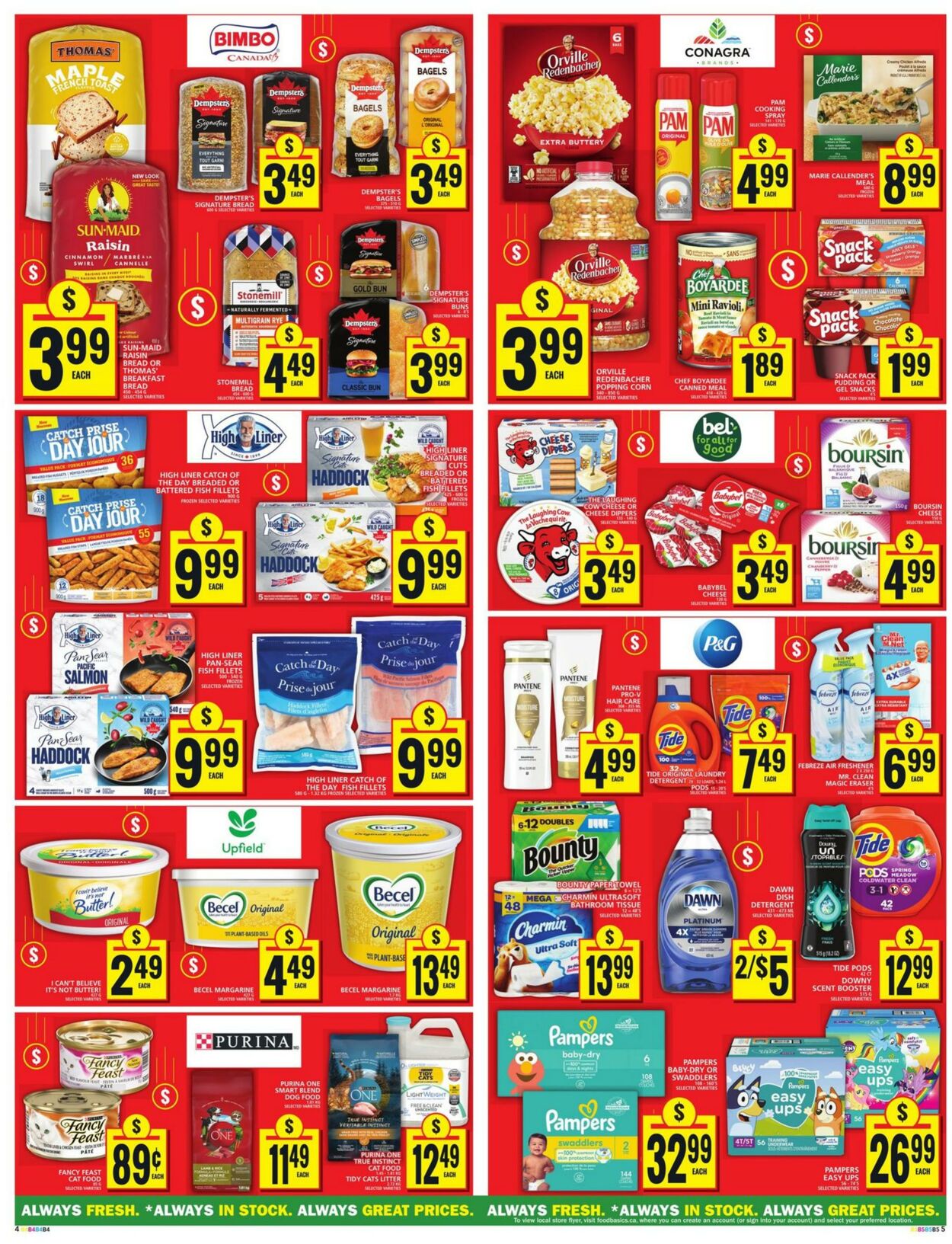 Flyer Food Basics 19.09.2024 - 25.09.2024