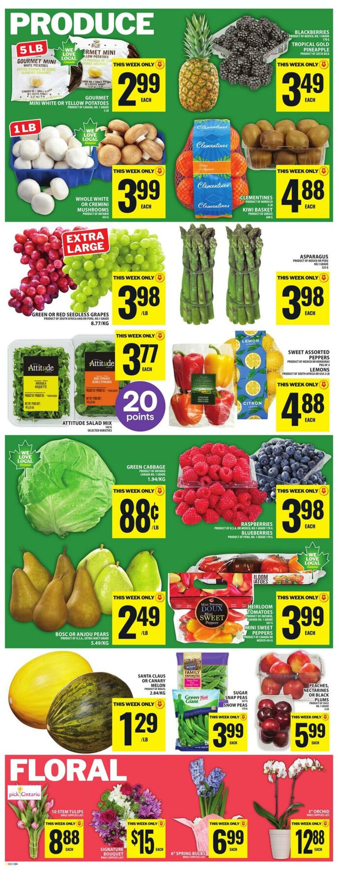 Flyer Food Basics 19.02.2026 - 25.02.2026