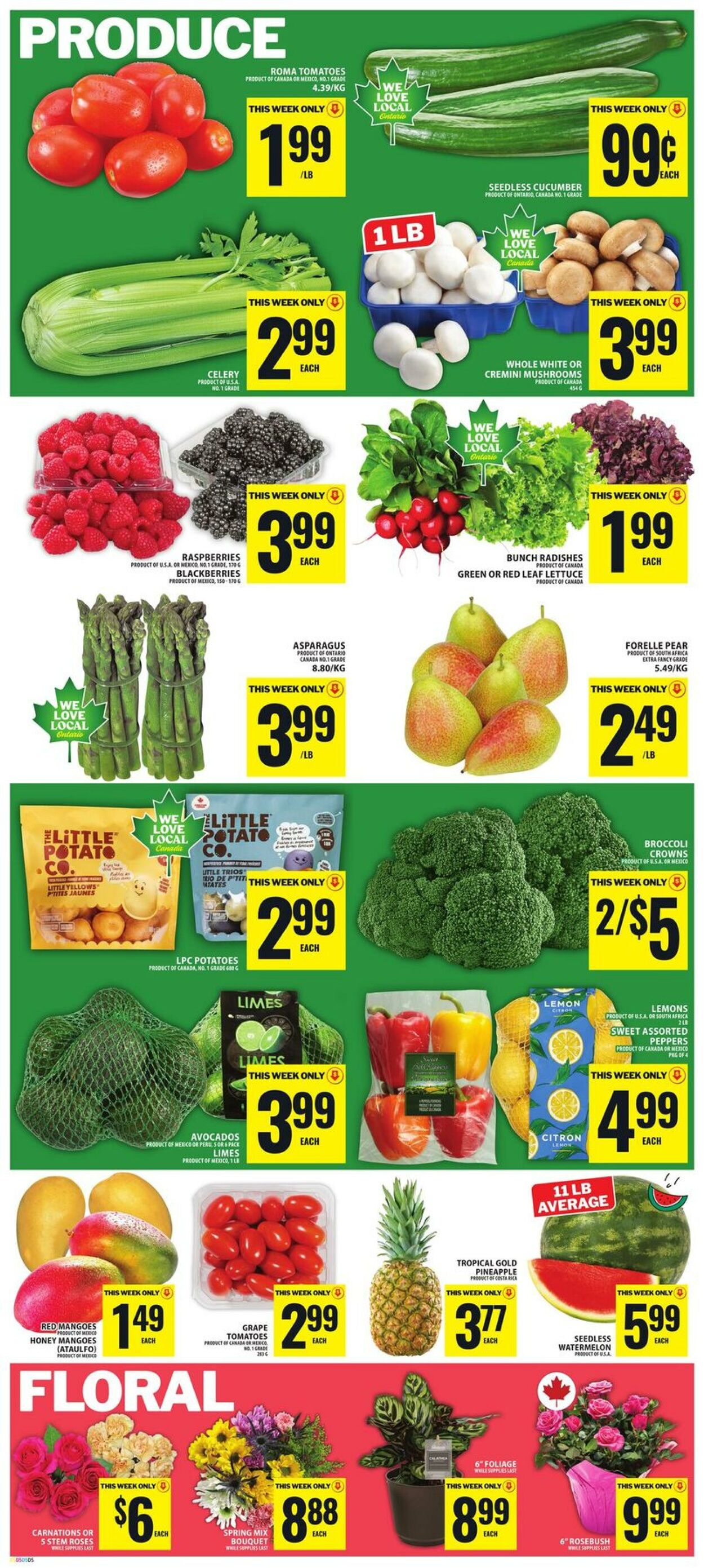 Flyer Food Basics 18.06.2026 - 24.06.2026