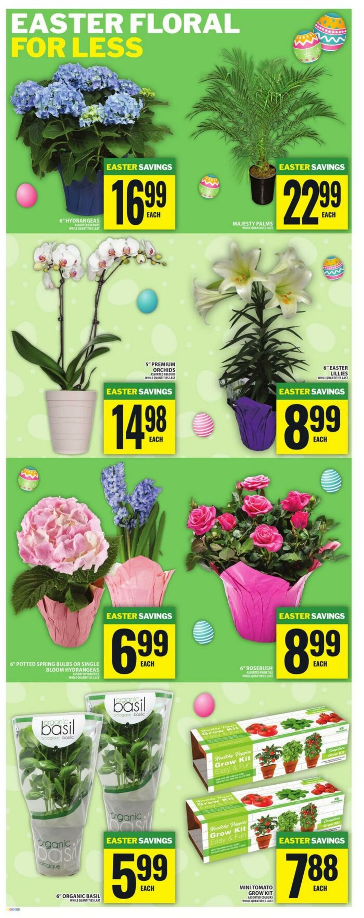 Flyer Food Basics 26.03.2026 - 01.04.2026
