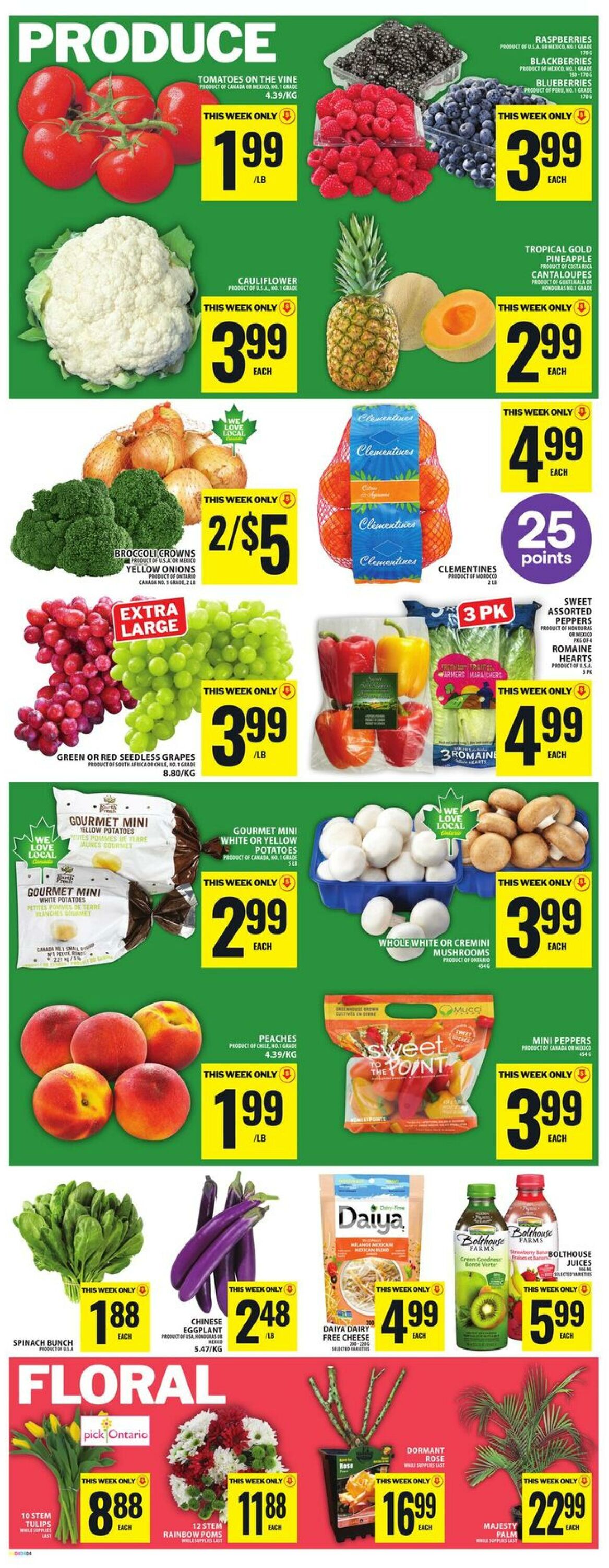 Flyer Food Basics 09.04.2026 - 15.04.2026