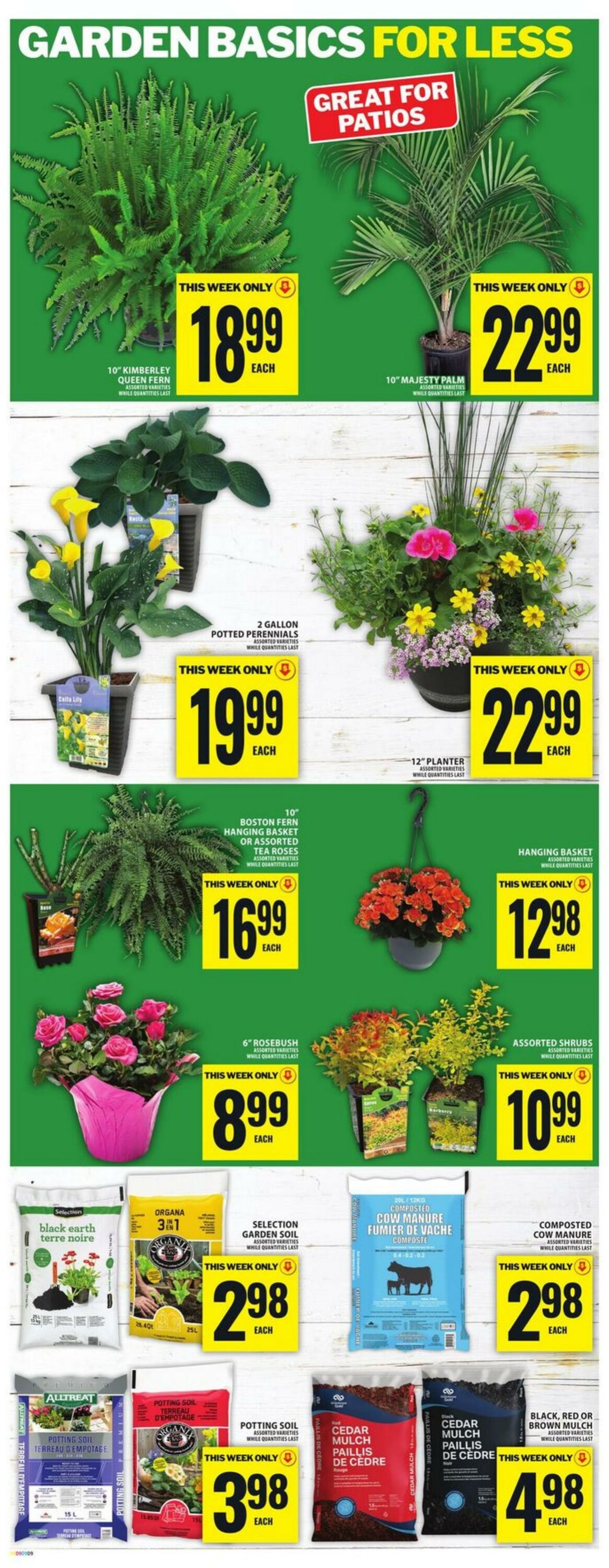 Flyer Food Basics 28.05.2026 - 03.06.2026