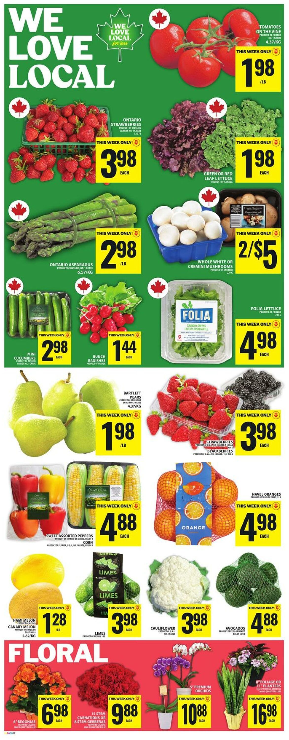 Flyer Food Basics 05.06.2025 - 11.06.2025