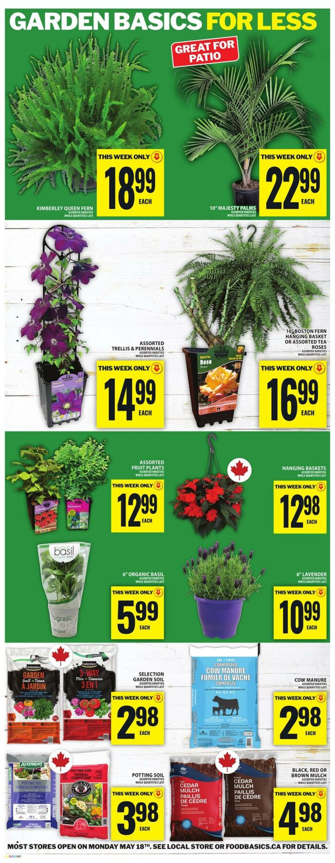 Flyer Food Basics 14.05.2026 - 20.05.2026