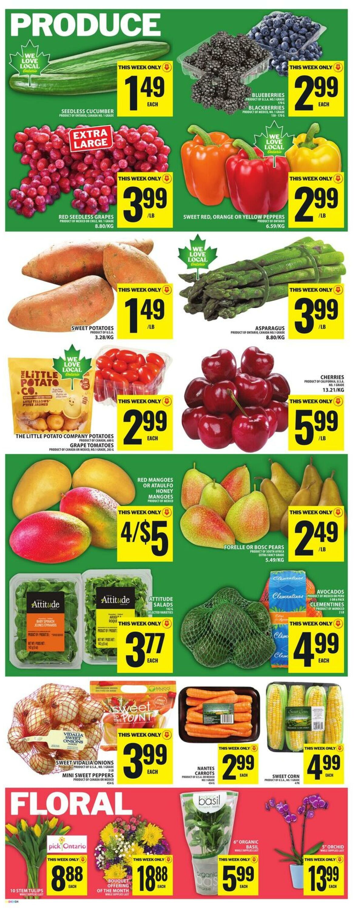 Flyer Food Basics 14.05.2026 - 20.05.2026