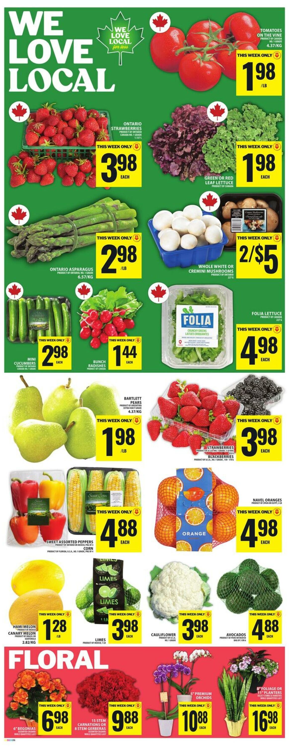 Flyer Food Basics 05.06.2025 - 11.06.2025