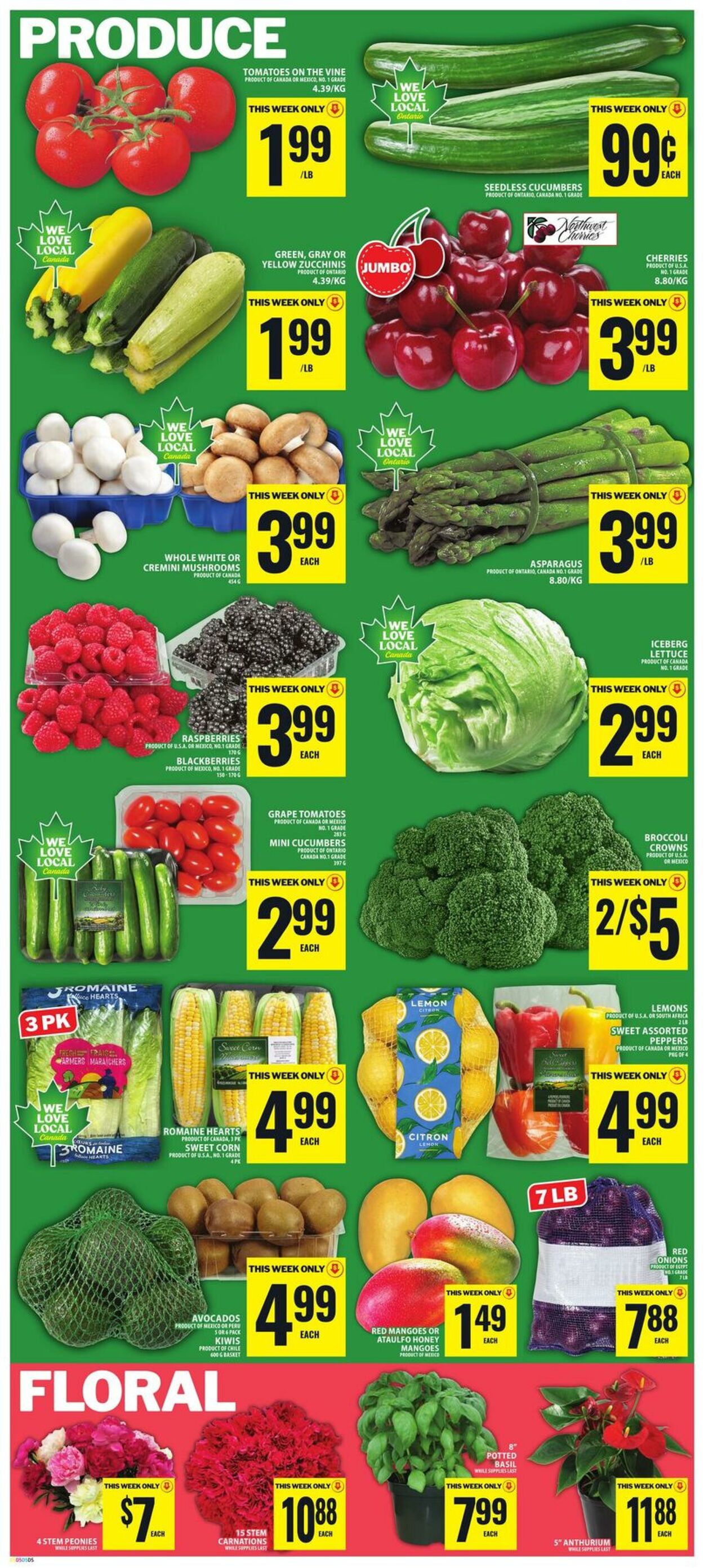 Flyer Food Basics 25.06.2026 - 01.07.2026