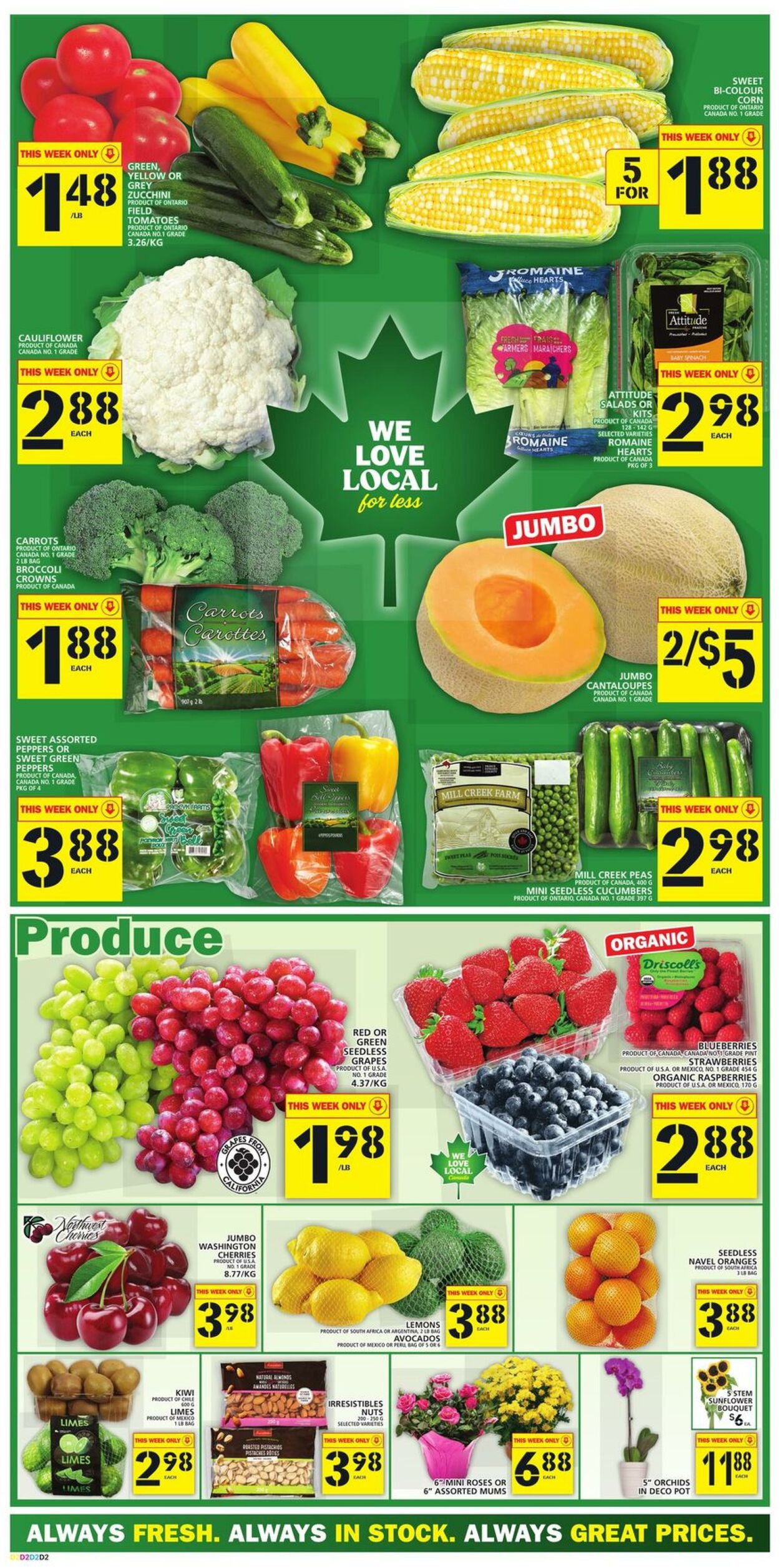 Flyer Food Basics 05.08.2021 - 11.08.2021