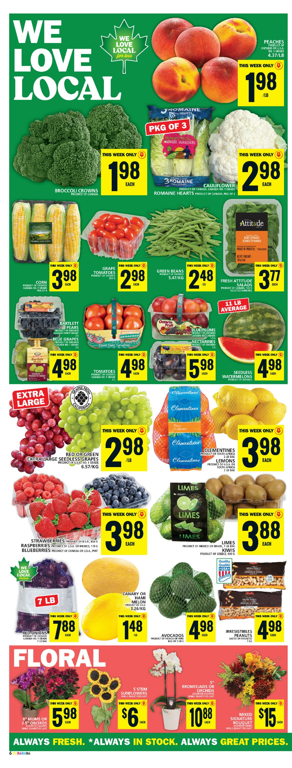 Flyer Food Basics 29.08.2024 - 04.09.2024