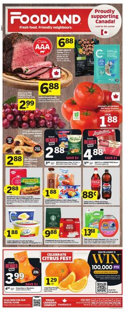 Flyer Foodland 19.12.2024 - 25.12.2024