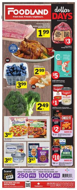 Flyer Foodland 19.12.2024 - 25.12.2024