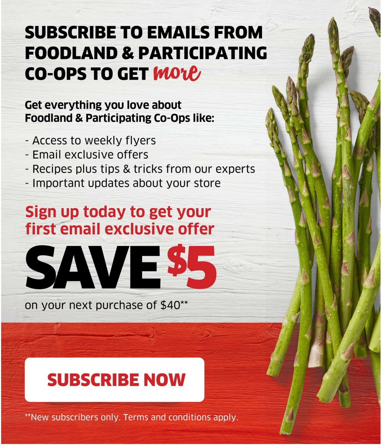 Flyer Foodland 03.08.2023 - 09.08.2023