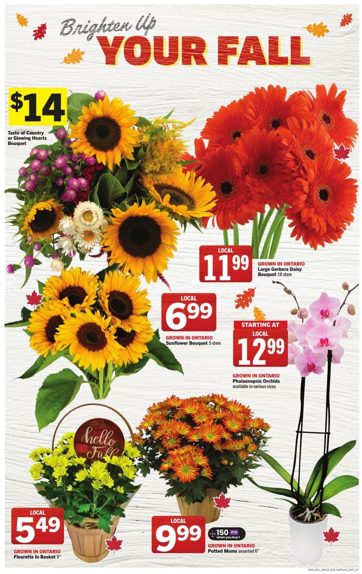 Flyer Foodland 02.10.2025 - 15.10.2025