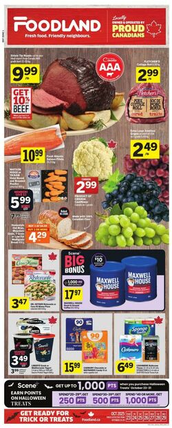 Flyer Foodland 23.10.2025 - 29.10.2025