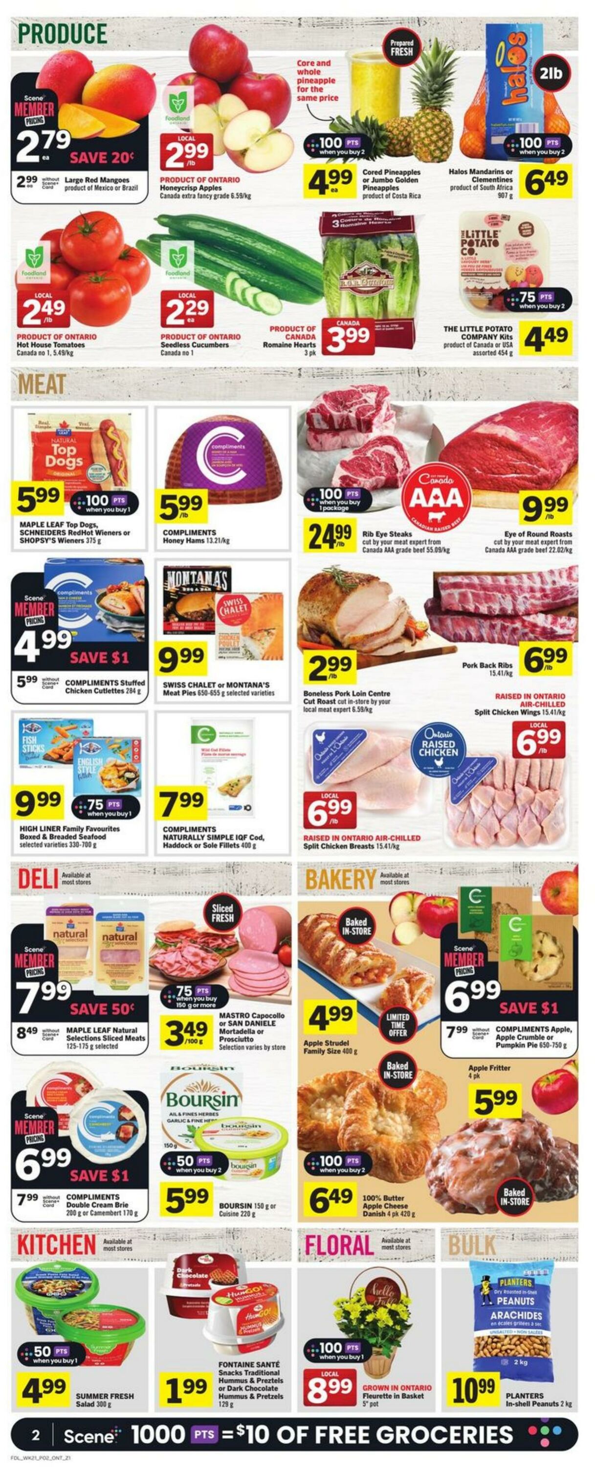 Flyer Foodland 19.09.2024 - 25.09.2024