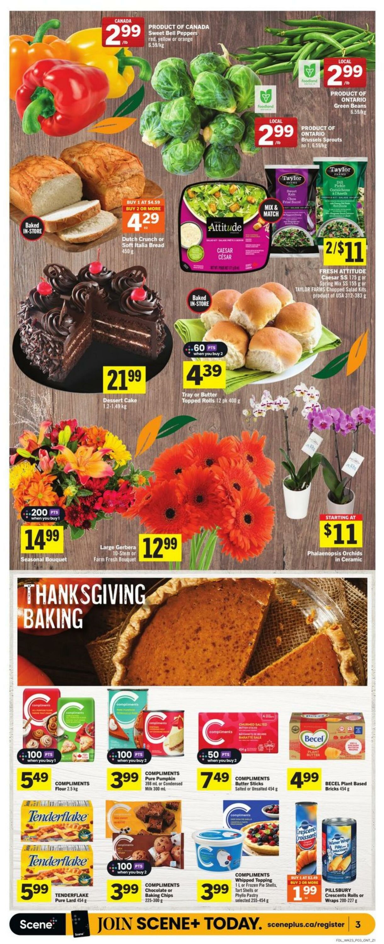 Flyer Foodland 03.10.2024 - 09.10.2024