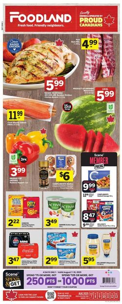 Flyer Foodland 07.08.2025 - 13.08.2025
