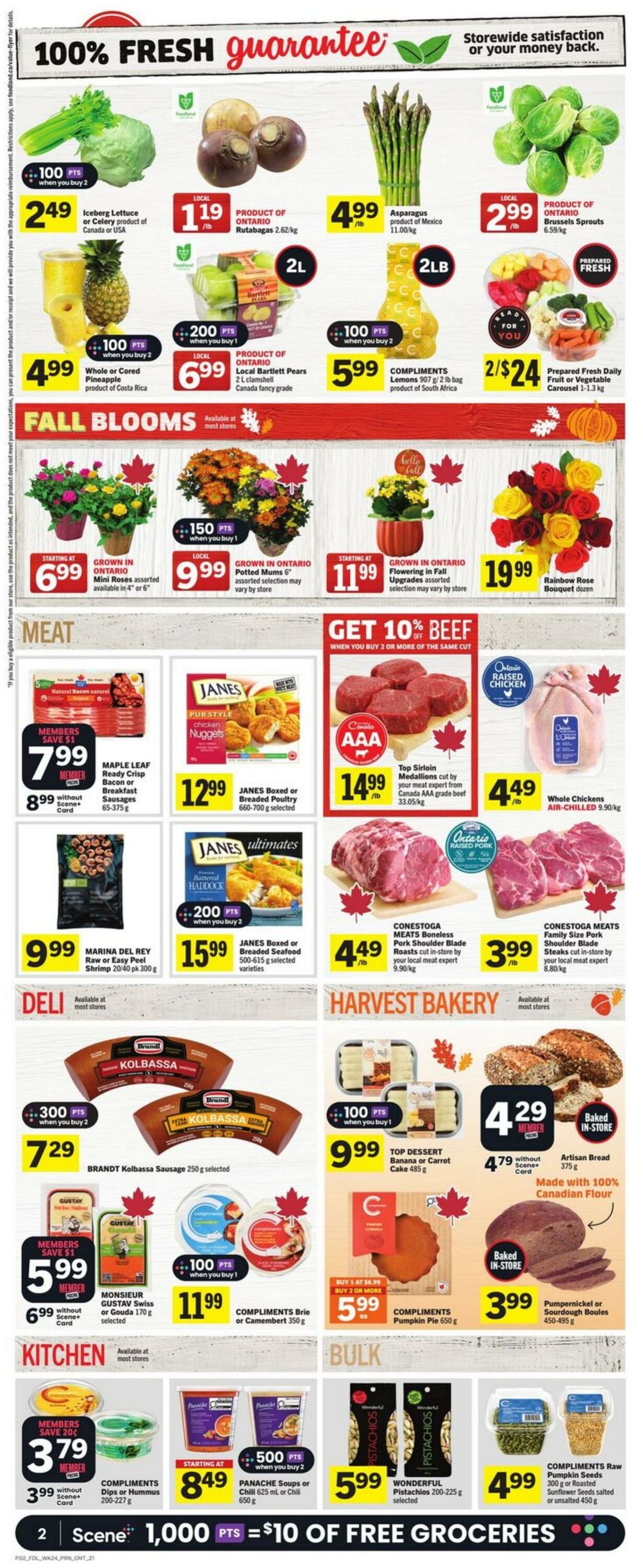 Flyer Foodland 09.10.2025 - 15.10.2025