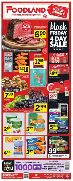 Flyer Foodland 28.11.2024 - 04.12.2024