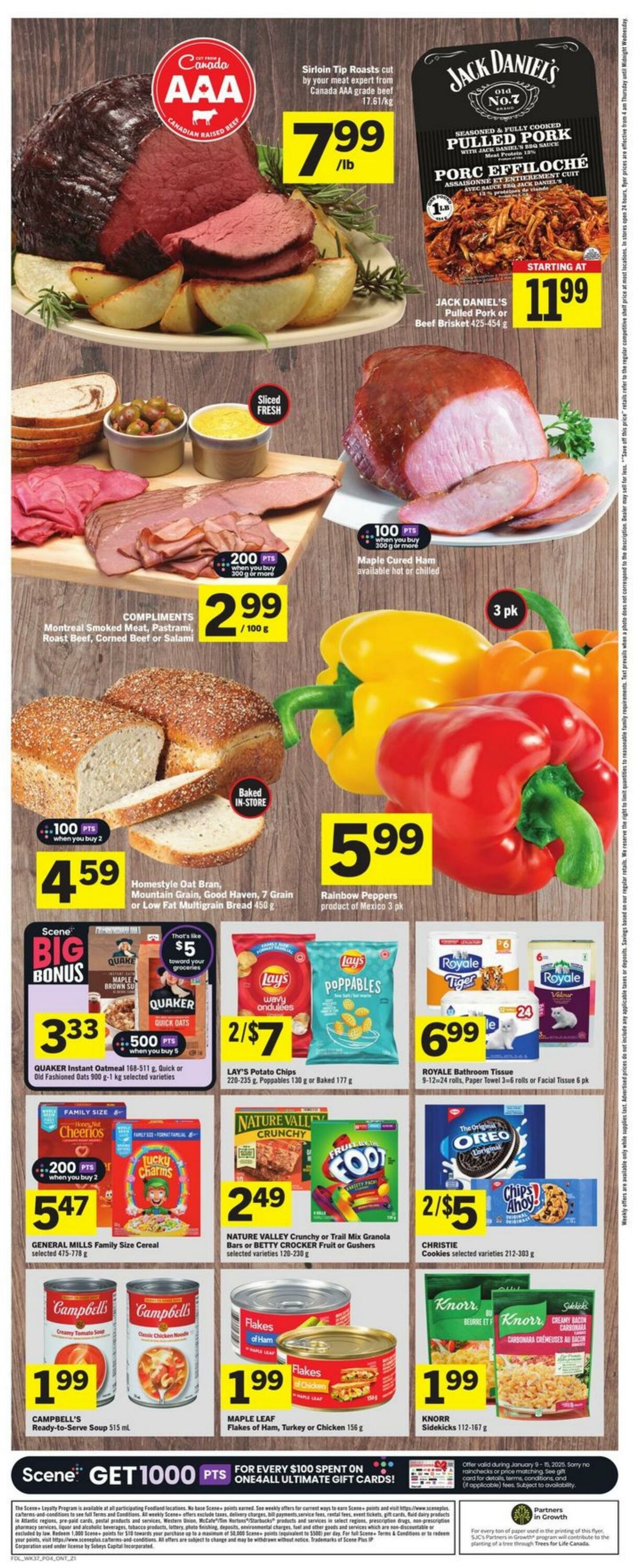 Flyer Foodland 09.01.2025 - 15.01.2025