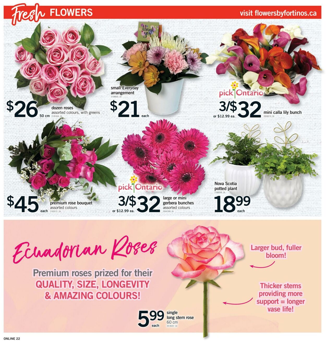 Flyer Fortinos 19.06.2025 - 25.06.2025